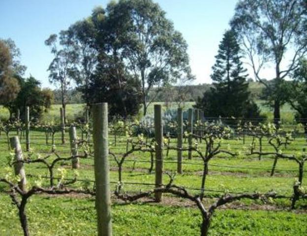 Southern Vales Bed & Breakfast Mclaren Vale Εξωτερικό φωτογραφία
