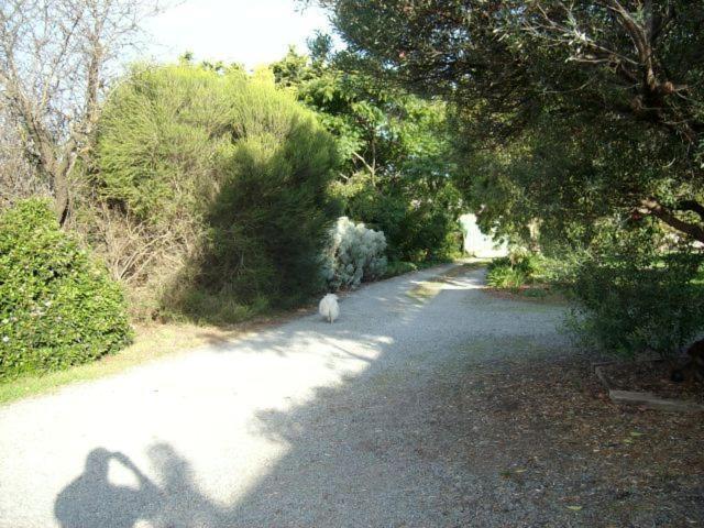 Southern Vales Bed & Breakfast Mclaren Vale Εξωτερικό φωτογραφία