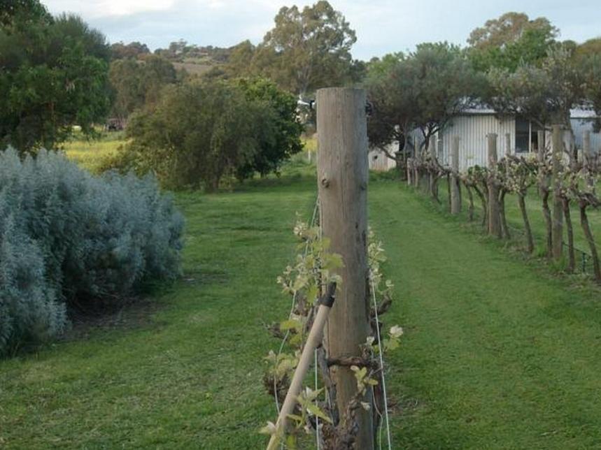 Southern Vales Bed & Breakfast Mclaren Vale Εξωτερικό φωτογραφία