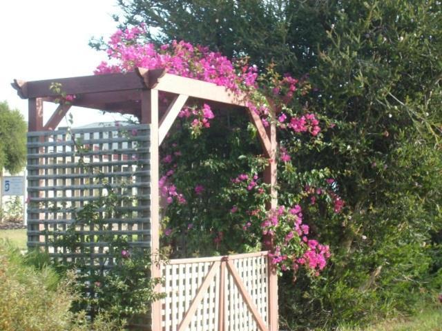 Southern Vales Bed & Breakfast Mclaren Vale Εξωτερικό φωτογραφία