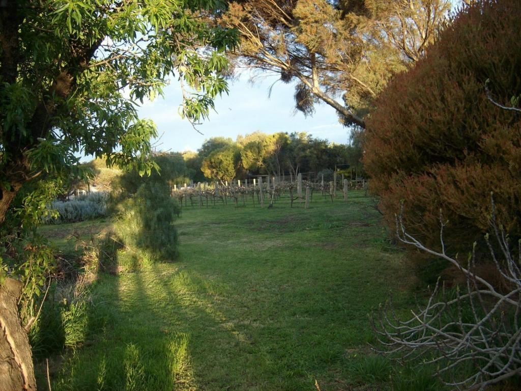 Southern Vales Bed & Breakfast Mclaren Vale Εξωτερικό φωτογραφία