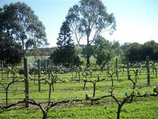 Southern Vales Bed & Breakfast Mclaren Vale Εξωτερικό φωτογραφία